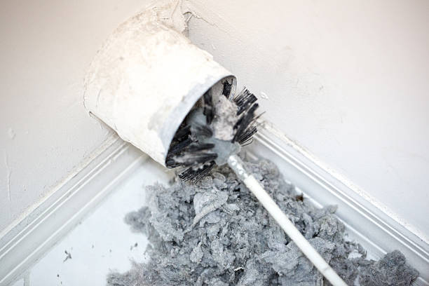 Best Affordable Air Duct Cleaning  in Miami Gardens, FL